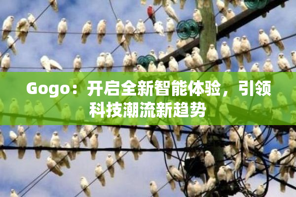 Gogo：开启全新智能体验，引领科技潮流新趋势