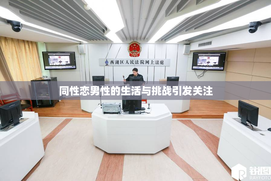 同性恋男性的生活与挑战引发关注