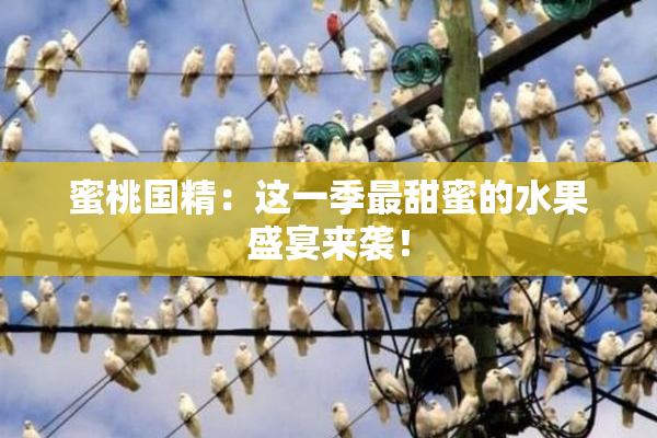 蜜桃国精：这一季最甜蜜的水果盛宴来袭！