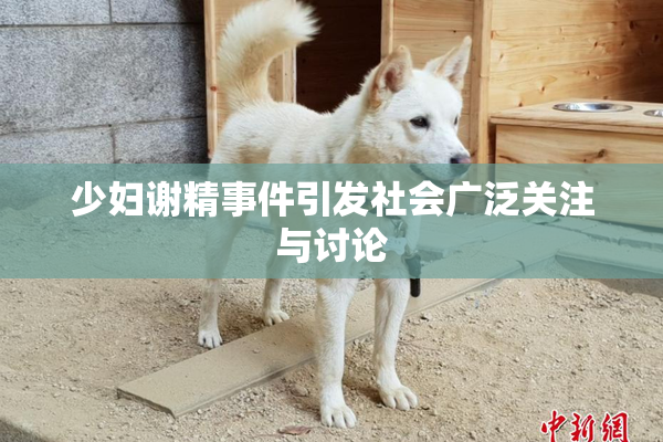 少妇谢精事件引发社会广泛关注与讨论