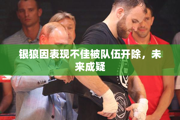 银狼因表现不佳被队伍开除，未来成疑