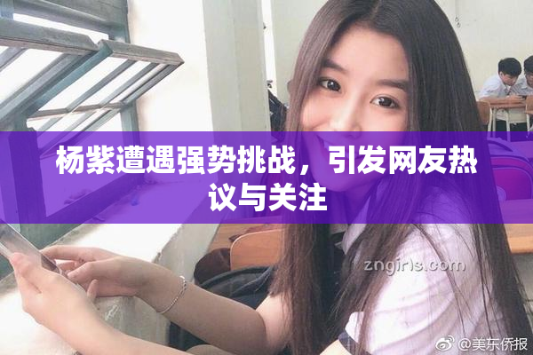 杨紫遭遇强势挑战，引发网友热议与关注