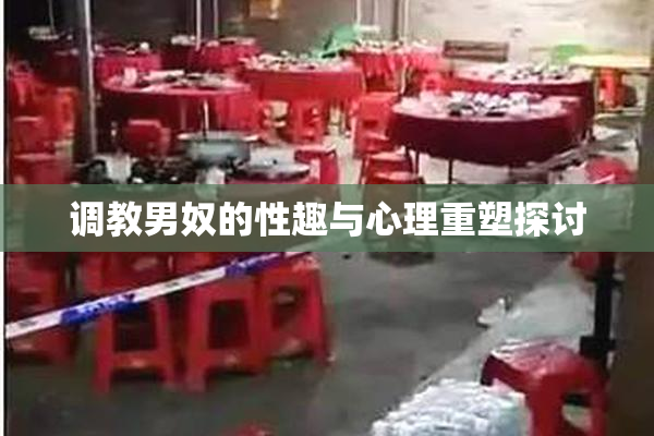调教男奴的性趣与心理重塑探讨