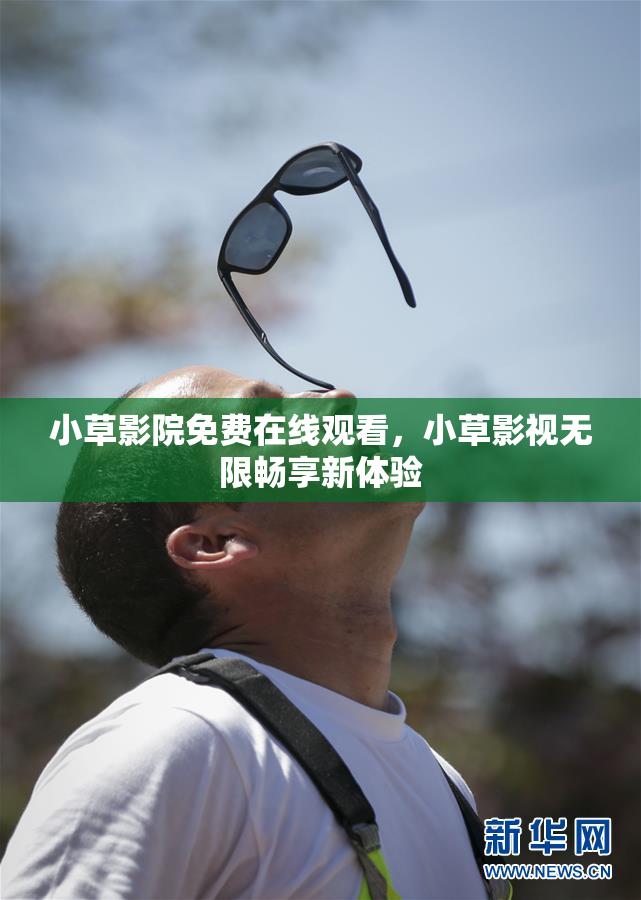 小草影院免费在线观看，小草影视无限畅享新体验