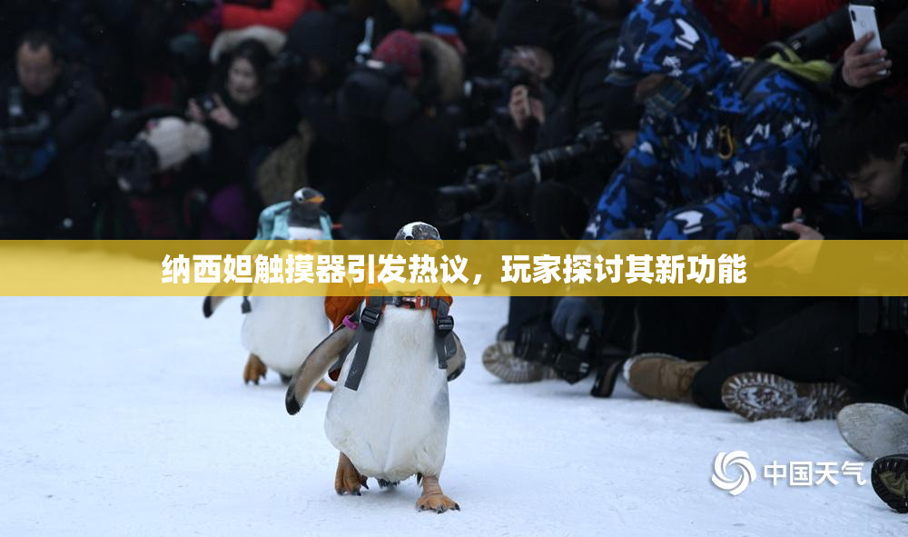 纳西妲触摸器引发热议，玩家探讨其新功能