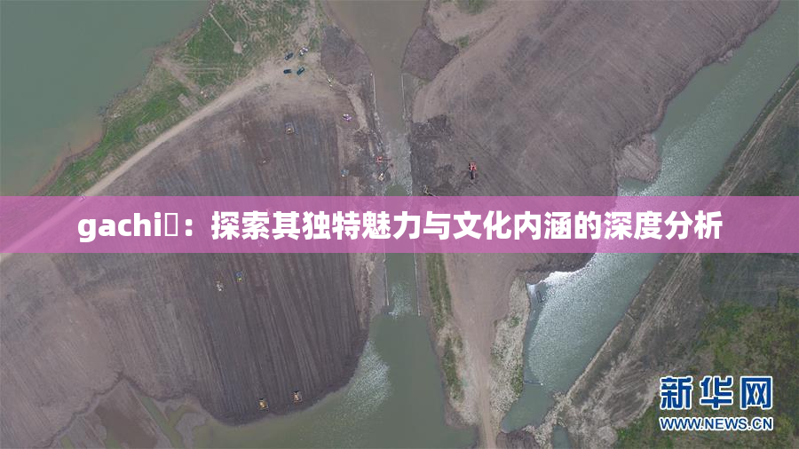 gachi籣：探索其独特魅力与文化内涵的深度分析