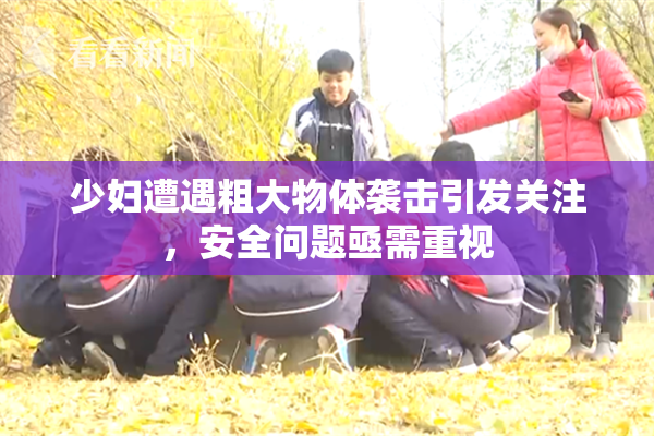少妇遭遇粗大物体袭击引发关注，安全问题亟需重视