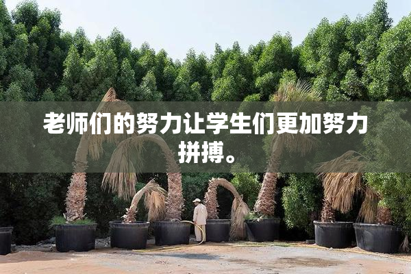 老师们的努力让学生们更加努力拼搏。