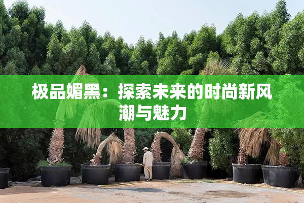 极品媚黑：探索未来的时尚新风潮与魅力