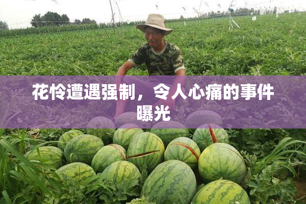 花怜遭遇强制，令人心痛的事件曝光
