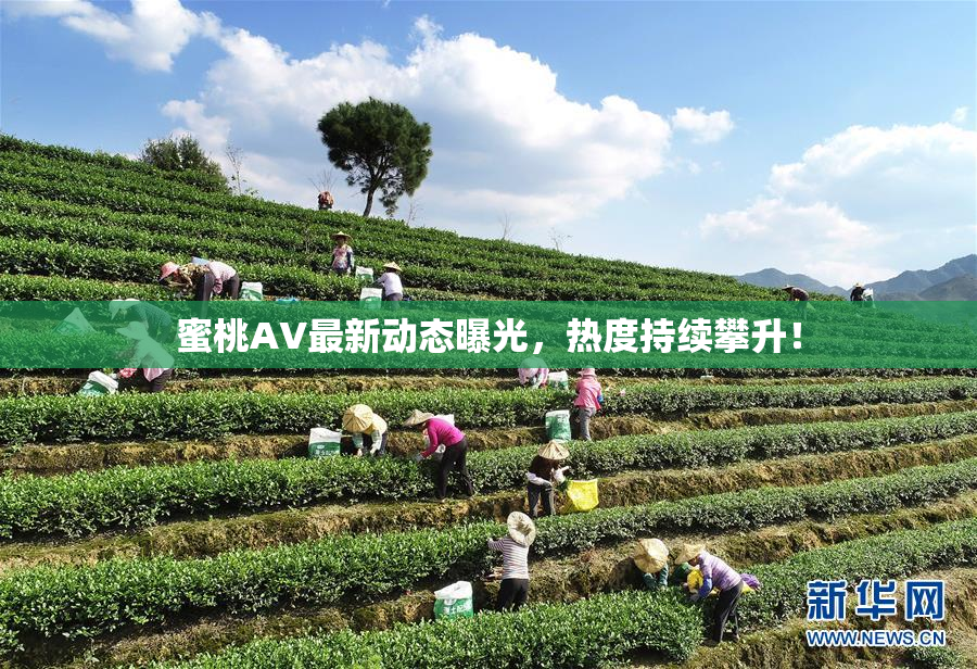 蜜桃AV最新动态曝光，热度持续攀升！