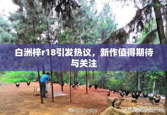白洲梓r18引发热议，新作值得期待与关注