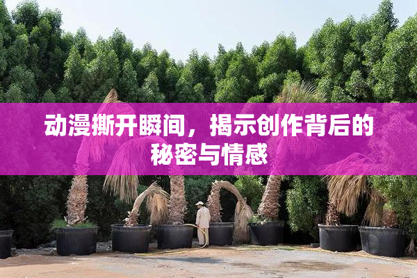 动漫撕开瞬间，揭示创作背后的秘密与情感