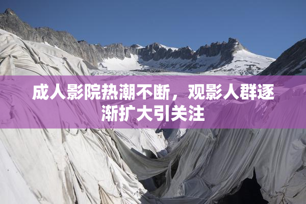 成人影院热潮不断，观影人群逐渐扩大引关注