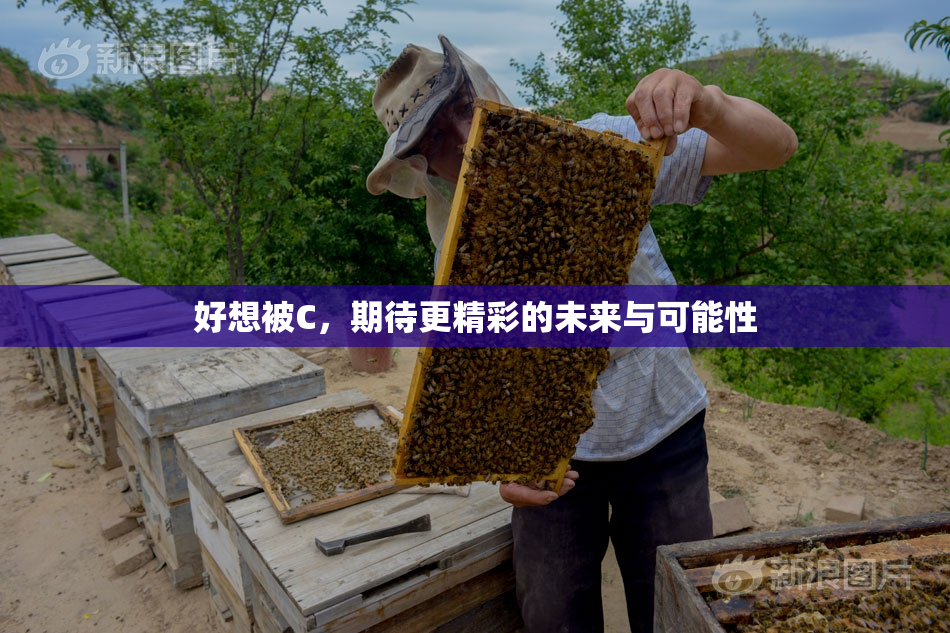 好想被C，期待更精彩的未来与可能性