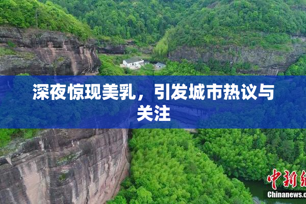 深夜惊现美乳，引发城市热议与关注