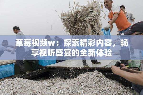 草莓视频w：探索精彩内容，畅享视听盛宴的全新体验