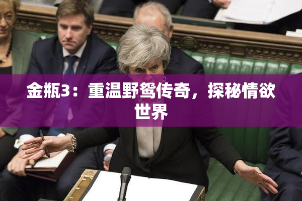 金瓶3：重温野鸳传奇，探秘情欲世界