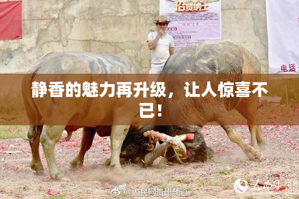 静香的魅力再升级，让人惊喜不已！