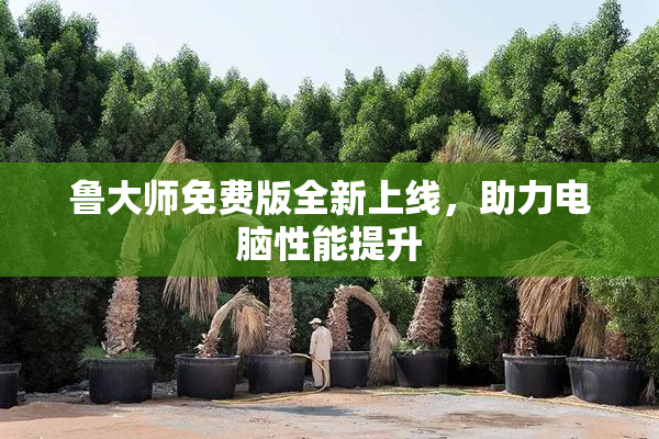 鲁大师免费版全新上线，助力电脑性能提升