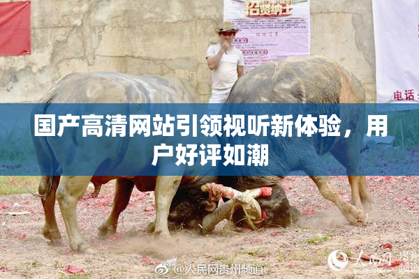 国产高清网站引领视听新体验，用户好评如潮
