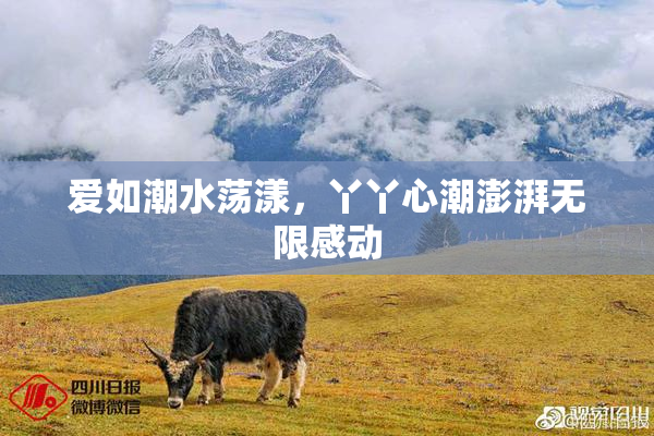 爱如潮水荡漾，丫丫心潮澎湃无限感动