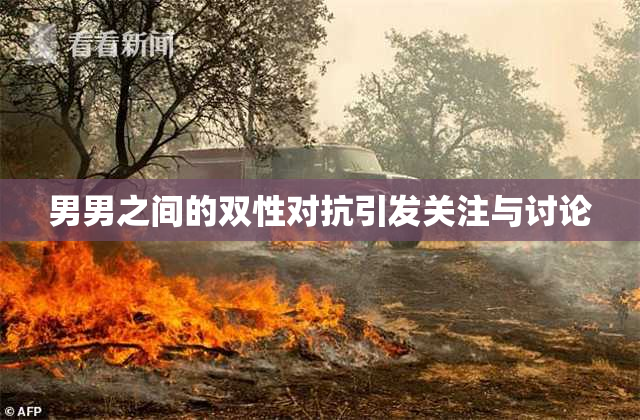 男男之间的双性对抗引发关注与讨论