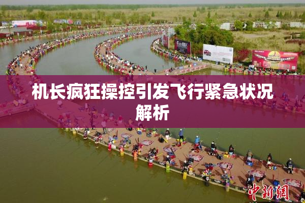 机长疯狂操控引发飞行紧急状况解析