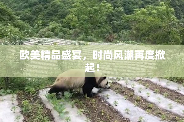 欧美精品盛宴，时尚风潮再度掀起！