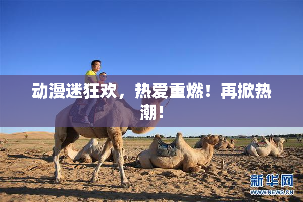 动漫迷狂欢，热爱重燃！再掀热潮！