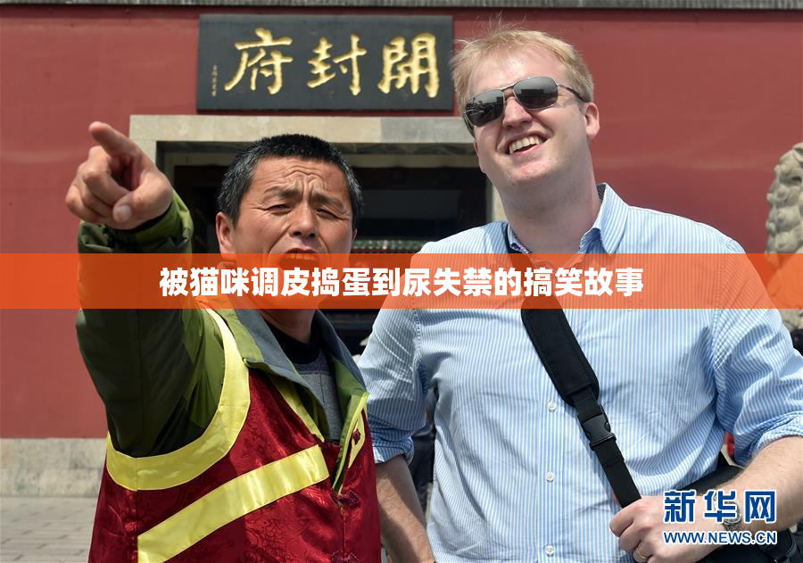 被猫咪调皮捣蛋到尿失禁的搞笑故事