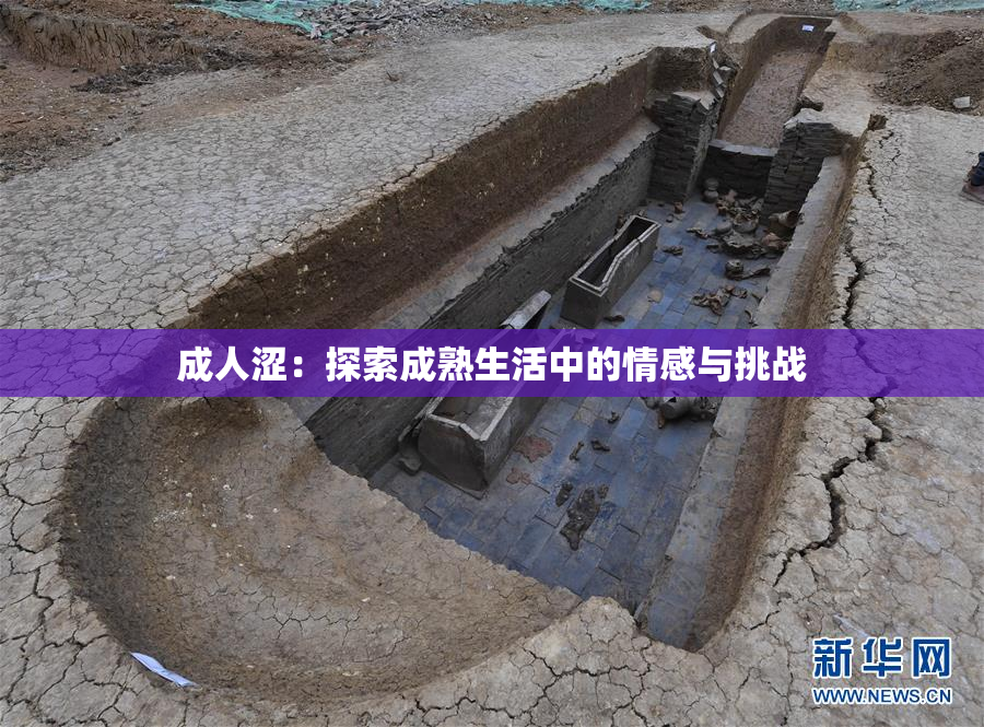 成人涩：探索成熟生活中的情感与挑战