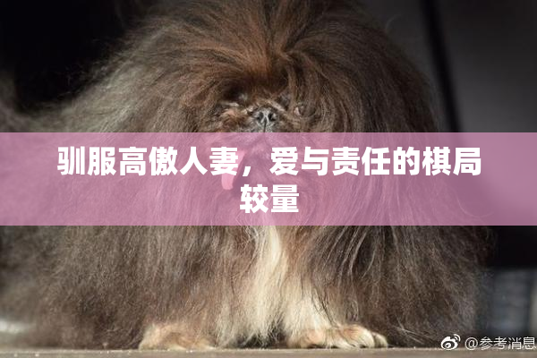 驯服高傲人妻，爱与责任的棋局较量