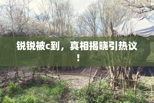 锐锐被c到，真相揭晓引热议！