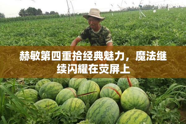 赫敏第四重拾经典魅力，魔法继续闪耀在荧屏上