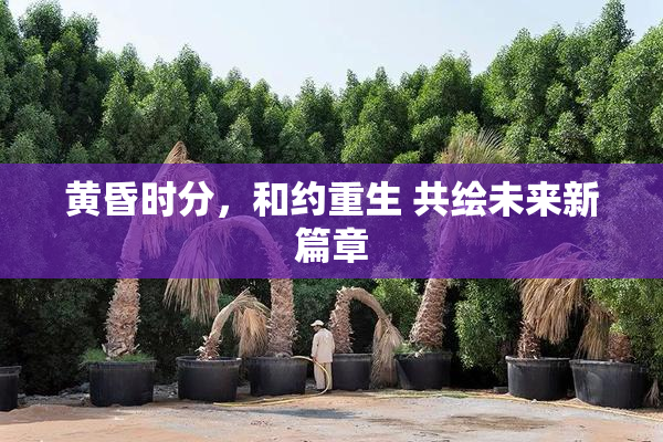 黄昏时分，和约重生 共绘未来新篇章