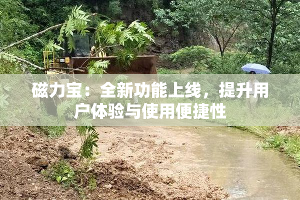 磁力宝：全新功能上线，提升用户体验与使用便捷性
