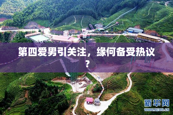 第四爱男引关注，缘何备受热议？