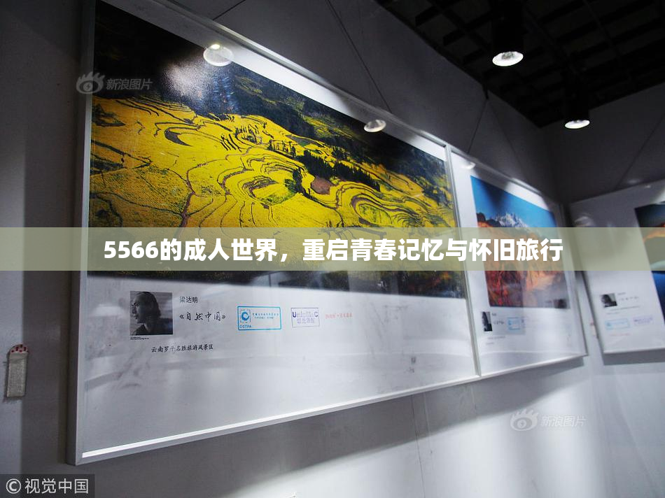 5566的成人世界，重启青春记忆与怀旧旅行