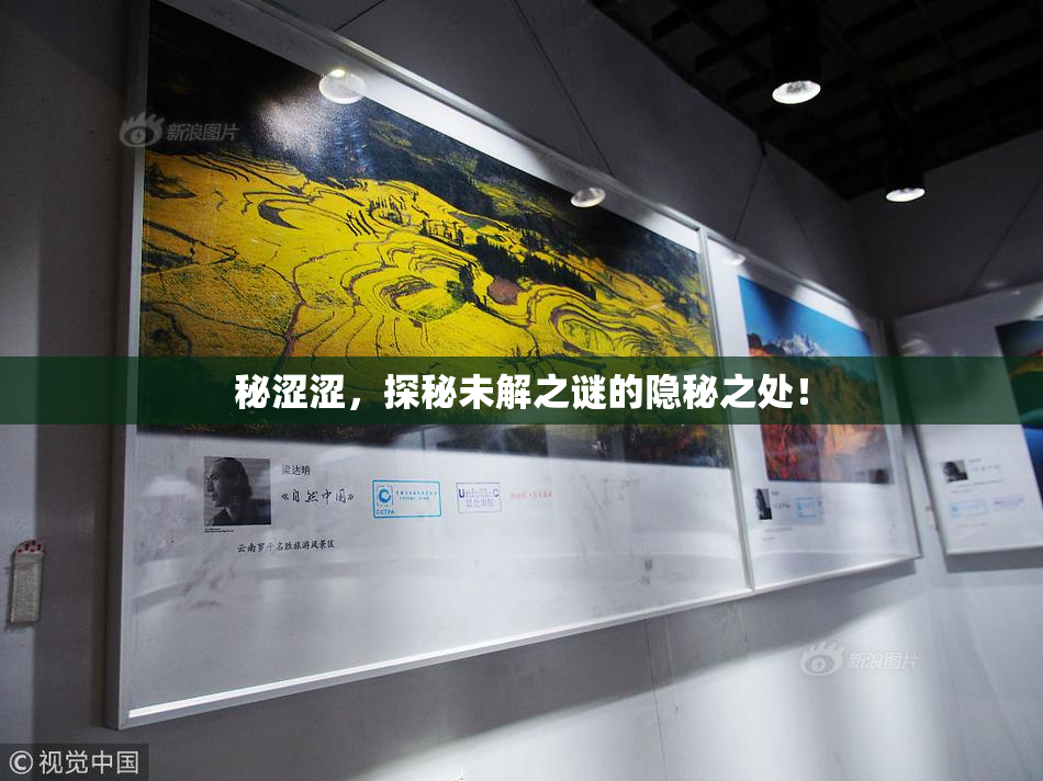 秘涩涩，探秘未解之谜的隐秘之处！