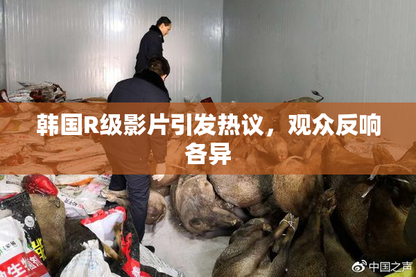 韩国R级影片引发热议，观众反响各异