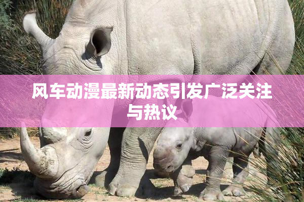 风车动漫最新动态引发广泛关注与热议
