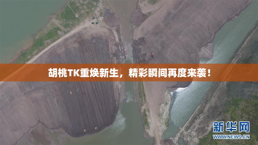 胡桃TK重焕新生，精彩瞬间再度来袭！