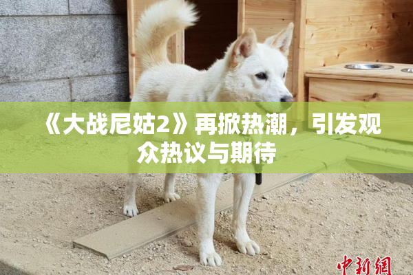 《大战尼姑2》再掀热潮，引发观众热议与期待