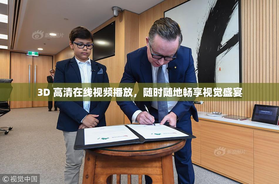 3D 高清在线视频播放，随时随地畅享视觉盛宴