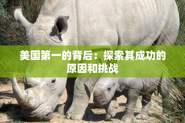 美国第一的背后：探索其成功的原因和挑战