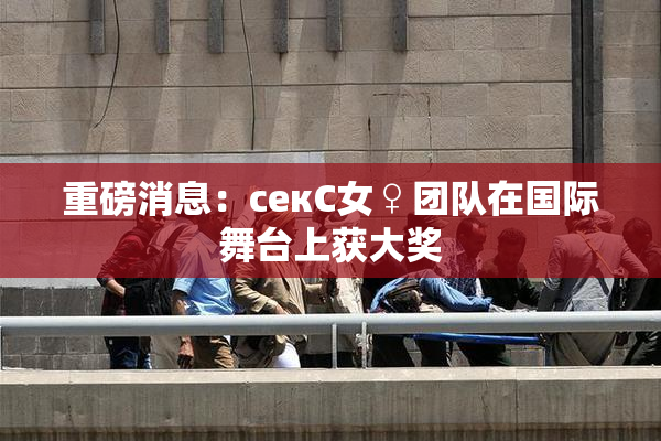 重磅消息：секС女♀团队在国际舞台上获大奖