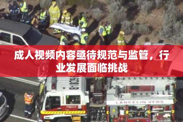 成人视频内容亟待规范与监管，行业发展面临挑战
