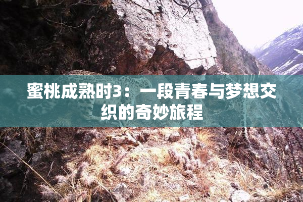 蜜桃成熟时3：一段青春与梦想交织的奇妙旅程