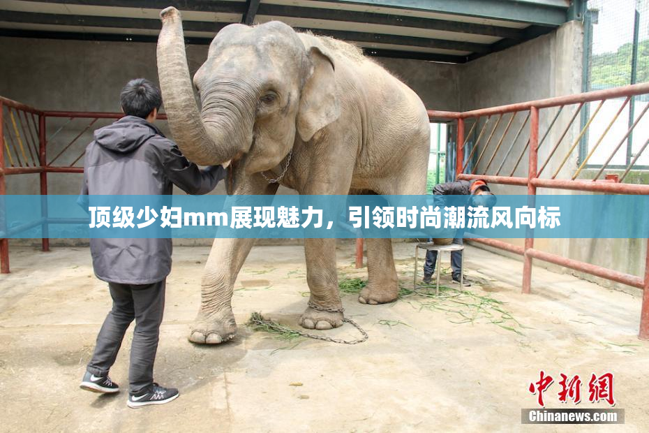 顶级少妇mm展现魅力，引领时尚潮流风向标